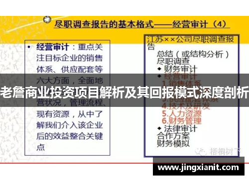 老詹商业投资项目解析及其回报模式深度剖析