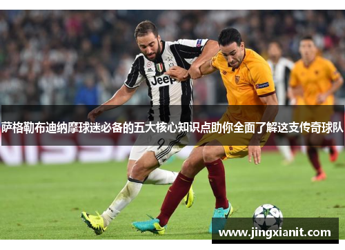 萨格勒布迪纳摩球迷必备的五大核心知识点助你全面了解这支传奇球队
