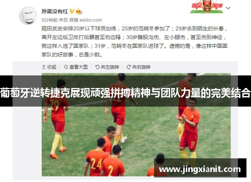 葡萄牙逆转捷克展现顽强拼搏精神与团队力量的完美结合